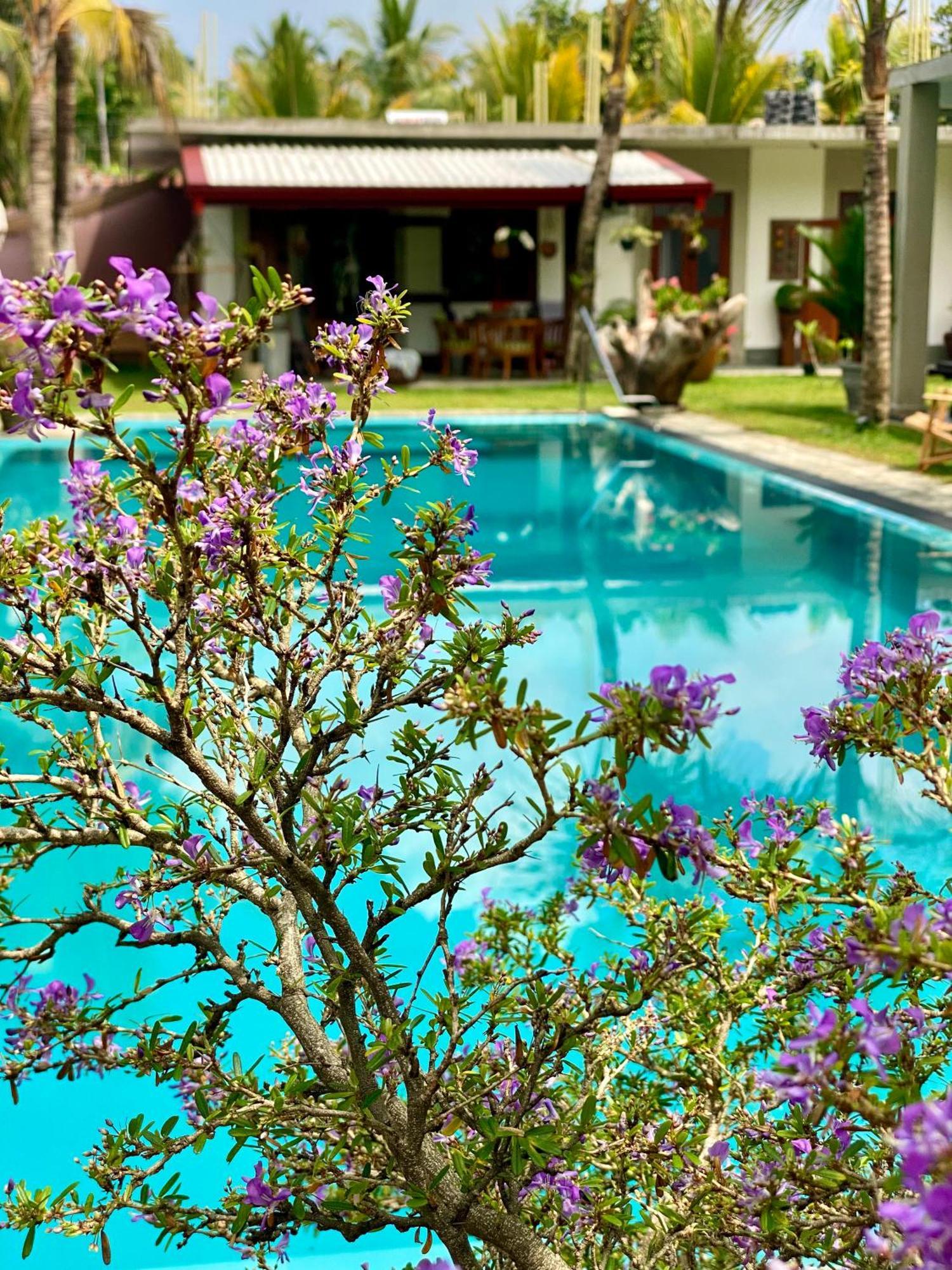 Sri Palms Bed & Breakfast Kosgoda Dış mekan fotoğraf